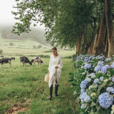 Grandma Aesthetic, Future Farms, Farm Lifestyle, Slow Life, English Countryside, Future Life, The Grass, Country Life, Farm Life