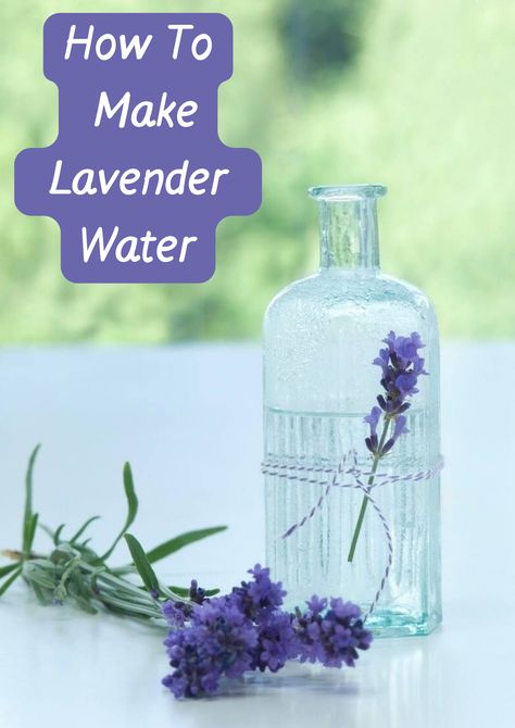 Lavendar Water, Lavender Sleep Spray, Witchy Herbs, Herb Medicine, Lavender Drink, Lavender Hydrosol, Diy Hair Spray, Medicine Recipes, Easy Soap Recipes