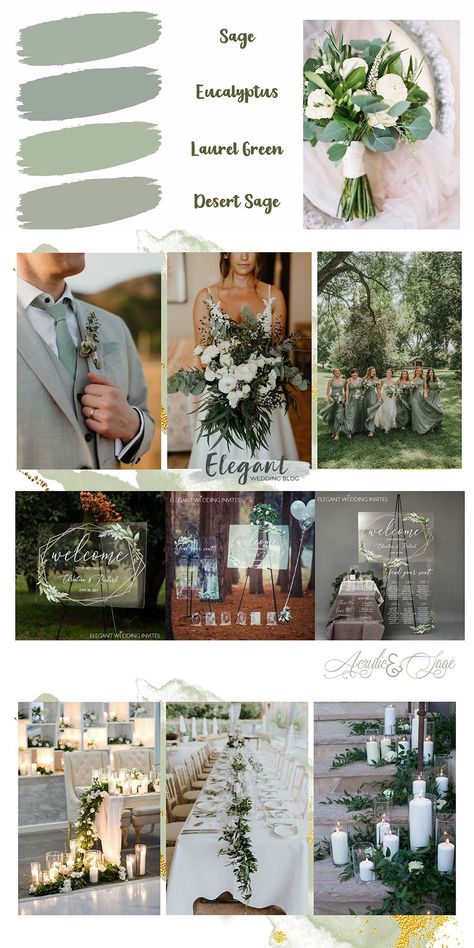 Sage Green Wedding Color Schemes, Sage And Gold Wedding, Sage Green And Gold Wedding, Green Fall Weddings, Sage Green Wedding Theme, Acrylic Invites, Groom Colours, Sage Green Wedding Colors, Green Wedding Decorations