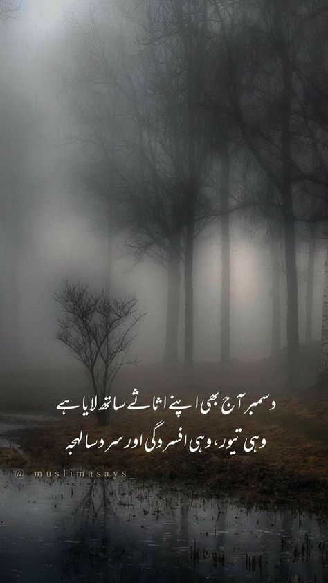 December Urdu Poetry Video, 1 December Quotes, December Poetry, Best Poetry Lines, Barish Poetry, Winter Poetry, Snow Quotes, November Quotes, December Quotes