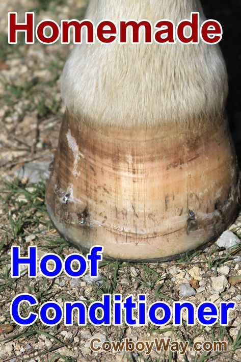 Diy Hoof Oil, Hoof Care For Horses, Horse Hoof Care, Horse Guide, Homemade Horse Treats, Horse Lessons, Healthy Horses, Horse Hoof, Diy Horse