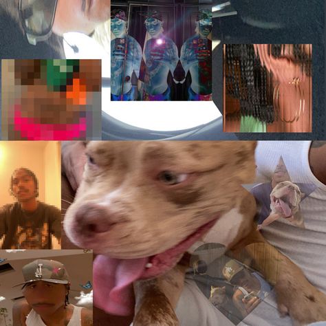 Steve Lacy Spotify, Steve Lacy, A Collage, Spotify Song, Collage, Dogs, Music