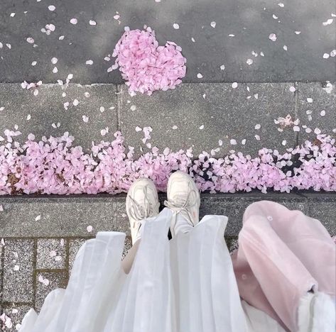 Flowers Umbrella, Light Pink Aesthetic, Bow Outfit, Sakura Flowers, Soft Pink Theme, Korean Japanese, Sweet Bakery, Flowers Blooming, Flowers Aesthetic