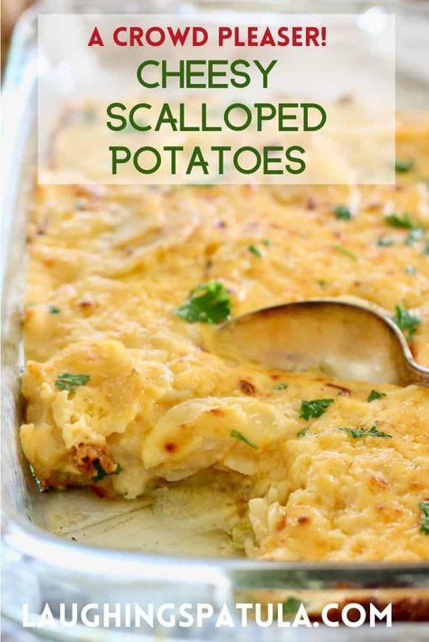 Easy Cheesy Scalloped Potatoes - feeds a crowd! Simple and Fresh ingredients that come together easily to make a most delicious side dish! Potato Casseroles For A Crowd, Scalloped Potatoes For A Large Crowd, Potato Dishes For A Crowd, Scalloped Potatoes For A Crowd, Small Batch Cheesy Potatoes, Scalloped Potatoes Easy Quick Simple, Potatoes For A Crowd, Easy Cheesy Scalloped Potatoes, Cheesy Scalloped Potatoes Recipe