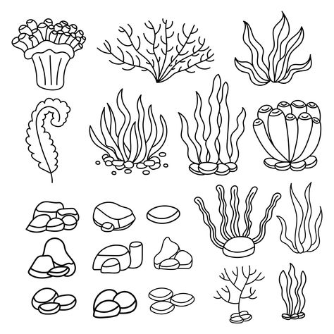 Seaweed Coloring Pages, Sea Weeds Clip Art, Ocean Plants Drawing, Kelp Drawing, Algae Drawing, Seaweed Drawing, Ocean Plants, Sketch Style, Sea Witch