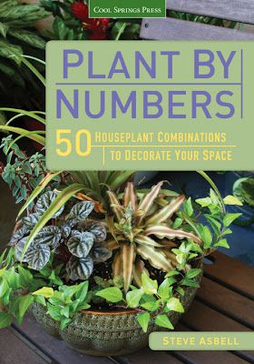 The Rainforest Garden: Plant by Numbers Grow Ginger From Root, Rainforest Garden, Raspberry Margarita, Ginger Roots, Growing Ginger, Gardening Books, Master Gardener, Rock Decor, The Rainforest