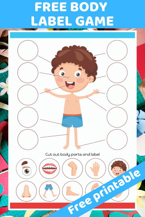 Free printable worksheet. Children cut our and label correct body parts. Great worksheet for preschool children to learn about the human body. Parts Of The Body Preschool, Gideon Bible, Body Parts Preschool Activities, Body Parts For Kids, Body Preschool, Human Body Activities, Body Parts Preschool, Kids Worksheets, Free Preschool Printables