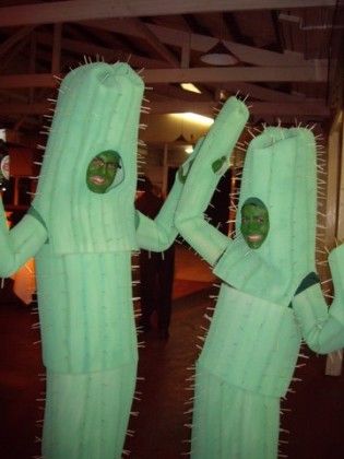 . Costumes were home-made, from foam, spray paint and match sticks. Halloween Cactus, Cactus Costume, Easy College Halloween Costumes, Foam Spray, Flower Costume, Cactus Diy, Diy Kostüm, Trendy Halloween Costumes, Diy Costume