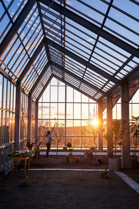 How Sweden Became the Surprising Center of the Greenhouse Home Movement - Dwell Greenhouse Restaurant, Swedish Countryside, Greenhouse Home, Timber Buildings, The Greenhouse, Picture Windows, Television Program, Garden Pests, Sustainable Home