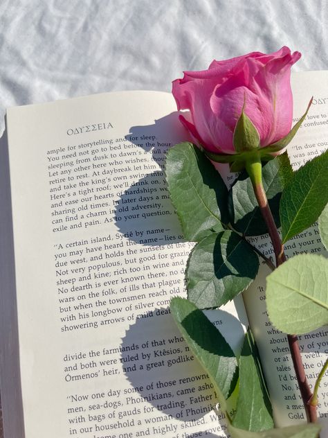 A dozen roses 
Red roses
Yellow roses
Flower inspo
Filler picture
Filler photo
Filler ideas
Instagram ideas
Books and flowers Aesthetic Rose Pic, Books And Roses Aesthetic, Flower On Book Aesthetic, Rose Book Aesthetic, Mid Sized Fashion, Bookay Flower Aesthetic, Outdoors Aesthetic, Aesthetic Roses, Rosé Aesthetic