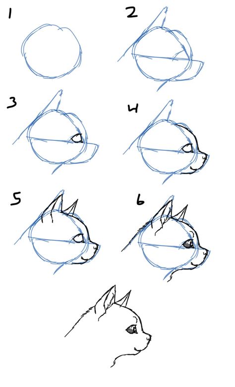 Face Profile Drawing, Cat Face Drawing, Draw Cat, Cat Drawing Tutorial, Profile Drawing, Cat Faces, Cat Tutorial, Drawing Heads, Cat Sketch