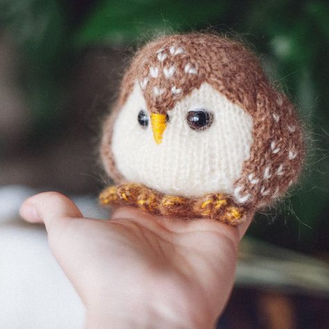 Designer Spotlight: The Best Knit & Crochet Patterns Inspired By OWLS! | KnitHacker Owl Knitting, Owl Knitting Pattern, Knit Crochet Patterns, Bird Quilt Blocks, Knitted Owl, Crochet Owls, Owl Crochet Patterns, Beginner Knitting Patterns, Crochet Bee