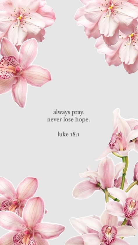 Always Pray Never Lose Hope, Bible Quotes Background, Always Pray, Christian Iphone Wallpaper, Scripture Wallpaper, Wallpaper Bible, Cute Bibles, Motivational Bible Verses, Christian Quotes Wallpaper