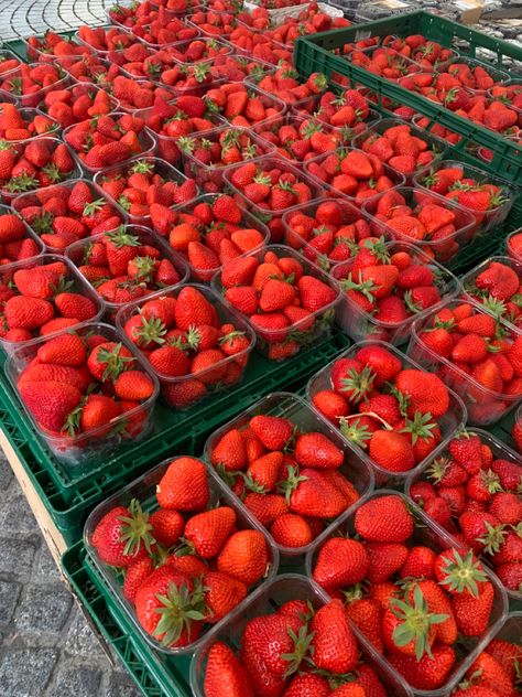 Strawberry Vibes, I Want Food, Strawberry Summer, Strawberry Garden, Strawberry Picking, Yummy Comfort Food, Strawberry Fruit, Healthy Routine, Instagram Food