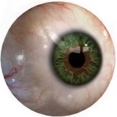 cool edgy tiktok Round icon pfp cute green eye sphere aesthetic Y2K profile picture please follow and save pin for more Eye Png, Visual System, Human Eye, Png Image, Profile Picture, Green