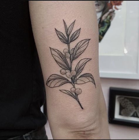 Plant Tattoo For Men, Coffee Plant Tattoo, Medium Size Tattoos, Coffee Tattoos, Elbow Tattoos, Plant Tattoo, Latest Tattoos, Above Elbow, Coffee Plant