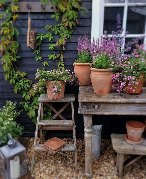 Small Magical Garden, Small Garden Ideas, Garden Shelves, Garden Junk, Charming Garden, Magical Garden, Courtyard Garden, Garden Lovers, Rustic Gardens