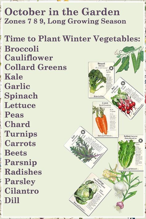 Planting In Winter - Never lose this opportunity to get what you need - buy NOW and have what you need and deserve! Winter Vegetables Gardening, Tattoo Plant, Gardening Zones, Fall Vegetables, Fall Garden Vegetables, Survival Gardening, Winter Vegetables, Garden Veggies, Magic Garden