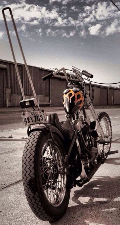 70s Chopper, Harley Davidson Road King, Harley Davidson Pictures, Truck Girl, Harley Davidson Knucklehead, Harley Davidson Panhead, Harley Davidson Baggers, Chopper Bobber, Classic Harley Davidson