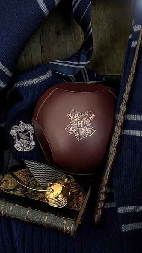 ravenclaw quidditch wallpaper iphone Quaffle Ball, Quidditch Aesthetic, Ravenclaw Quidditch, Hogwarts Founders, Ravenclaw Pride, Ravenclaw Aesthetic, Harry Potter Quidditch, Ravenclaw House, Free Aesthetic