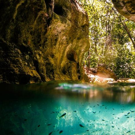 San Ignacio Belize, Underwater Hotel, Zipline Adventure, Coral Garden, Belize City, Kayak Adventures, Belize Travel, Romantic Vacations, Italy Vacation