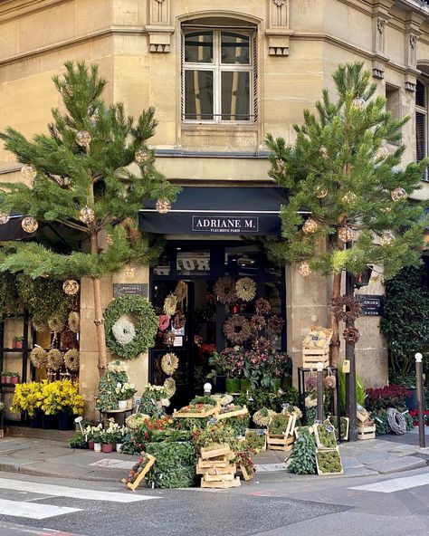 Paris Flowershop, Parisian Christmas Decor, Paris Flower Shop, Paris Christmas, Flower Shop Design, Christmas Memes, French Christmas, Most Beautiful Gardens, Miniature Christmas Trees