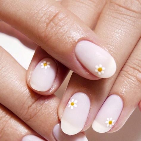 Chez Paints Nails on Instagram: "Delicate daisies inspired by @safinailstudio   •Using @the_gelbottle_inc Diana, Daisy and Butternut and finished with their Matte Topcoat.  Prepped using @navyprotools ✨   •Simple Nail Art" Dasie Flower Nails, Daisy Nail Art, Ring Finger Nails, Simple Nail Art, Milky Nails, Finger Nail Art, Black Nail Art, Daisy Nails, Daisy Ring