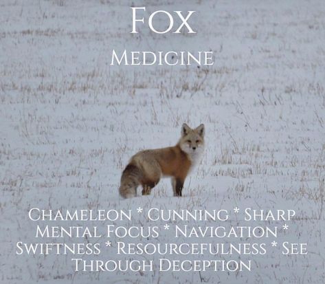 Fox Symbolism Meaning, Fox Meaning, Fox Symbolism, Fox Spirit Animal, Animal Totem Spirit Guides, Spirit Animal Meaning, Fox Totem, Animal Meanings, Spirit Animal Totem