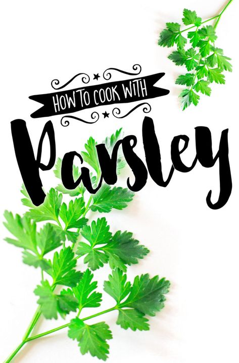 How to Use Parsley to Cook Like a Boss ☘ Chop leaves to sautée or garnish. Finely chop stems for sauteeing, or use whole sprigs in bouquet garni. Visit Swoontastic for more cooking tips! Fresh Parsley Recipes, Parsley Soup, Growing Parsley, Parsley Recipes, Parsley Pesto, Meatless Meatballs, Vegetable Drawer, Italian Parsley, Vegan Meatballs