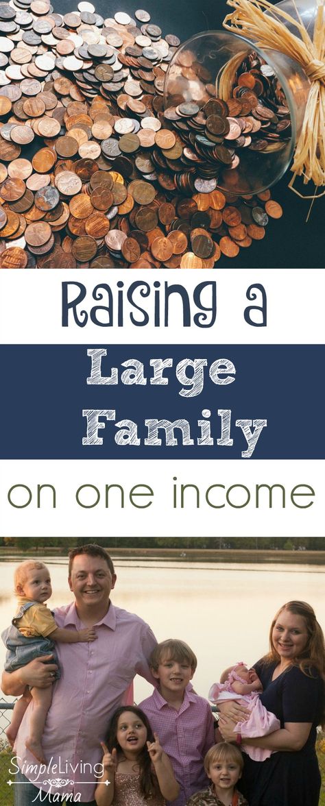 Raising a Large Family on One Income Large Family Organization, Large Families Living, One Income Family, Large Family Living, Large Family Meals, Big Families, Family Tips, Frugal Family, Large Families