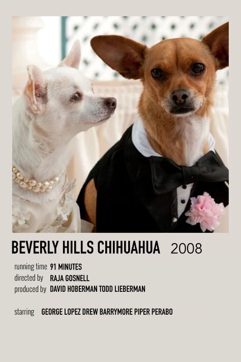 Polaroid movie poster Movie Polaroid Posters, Polaroid Movies, Polaroid Movie Poster, Movie Character Posters, Beverly Hills Chihuahua, Beverly Hill, Comfort Movies, Dog Movies, Iconic Movie Posters