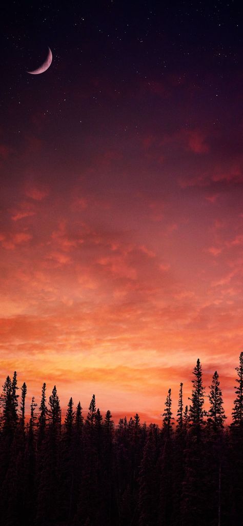 Evening Wallpaper Sunset Phone Background, Spooky Moon Wallpaper, Fall Sky Wallpaper, Summer Evening Wallpaper, Autumn Moon Wallpaper, Fall Sunset Wallpaper, California Aesthetic Wallpaper, Evening Sky Wallpaper, Sunrise Aesthetic Wallpaper