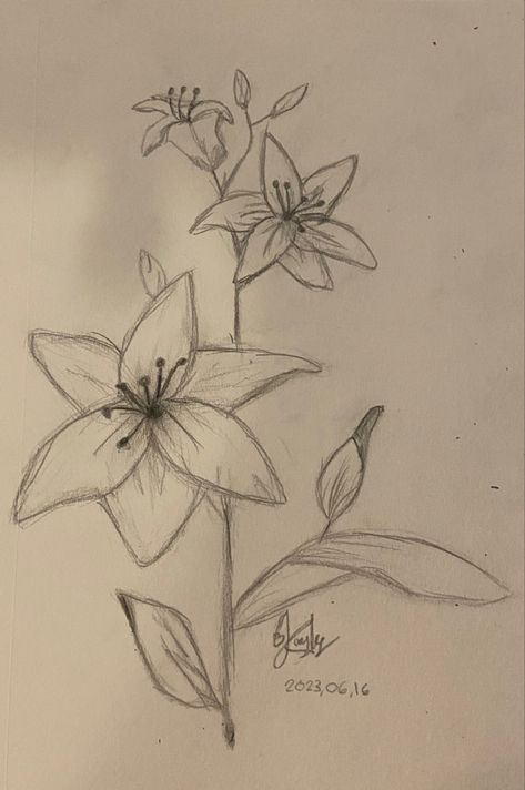 Easy Flower Sketches, Chicano Drawing, Drawing Therapy, Cute Flower Drawing, Creative Pumpkin Painting, Chicano Drawings, Flower Art Drawing, Meaningful Drawings, Flower Sketches