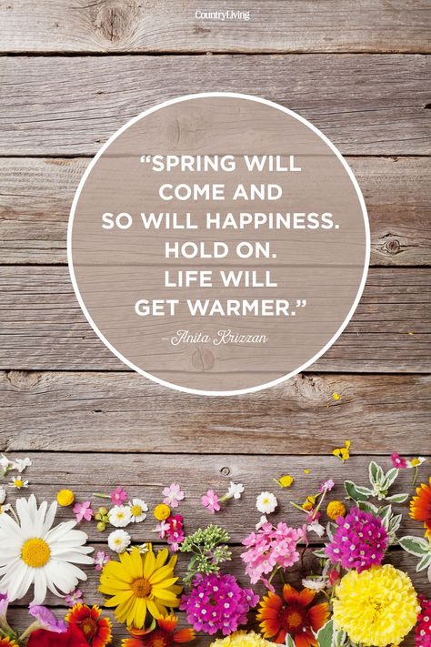 Russian Proverb, Theodore Roethke, Gardening Quotes, Spring Quotes, Bloom Where You Are Planted, Garden Quotes, Spring Is Coming, Happy Spring, Time Quotes