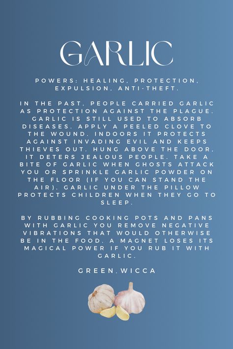 Garlic: A Magical Bulb of Protection, Healing, and Warding Off Thieves! 🧄✨ From ancient folklore to modern uses, this versatile herb is believed to offer powerful protective, healing, and banishing properties. Discover the mystique of garlic and its many virtues. Garlic Protection Spell, Garlic Magical Properties, Garlic Properties, Honey Spell, Banishing Herbs, Magick Herbs, Garlic Benefits, Spell Books, Witchcraft Spell Books