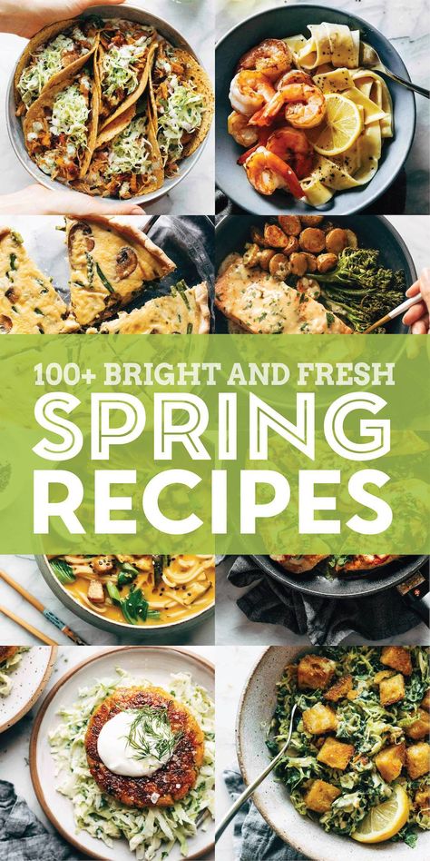 100+ Bright and Fresh Spring Recipes! We're peeking out of winter and into the warming days and our eyes and hearts are all bright and fresh and "Oh my, the sun is here again!" Here are some recipes to put a little spring in your step...and on your table. #springrecipes #healthy #easydinner Coffee To Go, Spring Recipes, Vegetarian Cheese, Baklava, Small Bowls, Easy Dinner, Food Processor Recipes, A Food, Oh My