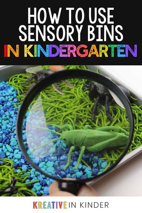 Sensory bins are such a fun and hands-on way to get students learning in your kindergarten classroom. It gives young children a chance to touch and explore different sensory objects and sensory materials with fun themes. With that said, you may still be wondering how to use sensory bins in kindergarten to help aid little learners with their learning experience. I'm here to tell you that it's so simple to integrate sensory bins and sensory activities with your kindergarten learning goals! Sensory Bins For Kindergarten, Sensory Objects, Kindergarten Sensory, Sensory Materials, Kindergarten Activity, Being Intentional, Play Based Learning Activities, Science Skills, Math And Science