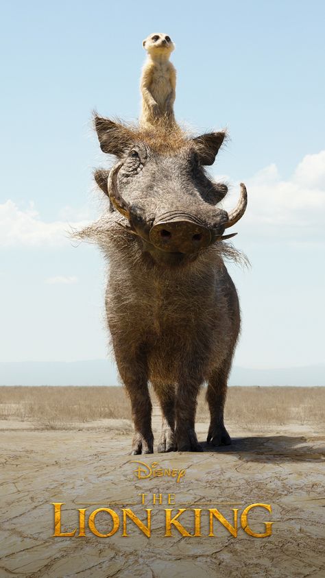 Timon And Pumbaa, The Arrival, The Lion King, The Lion, Lion King, Mobile Wallpaper, Live Action, The King, Camel