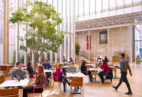 Best Museum Restaurants & Cafés in NYC: Food at MoMA, Whitney and More - Thrillist Public Restaurant, Bathroom Construction, Library Cafe, Museum Cafe, Museums In Nyc, Micro Apartment, Space Gallery, Morgan Library, Still Life Fruit