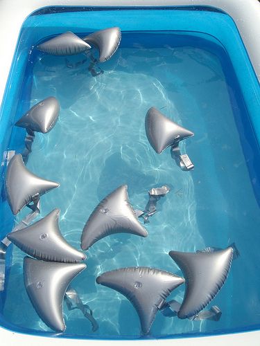 shark pool party - love these for a pool party. Inflatable shark fins! Awesome. Shark Pool Party, Jaws Party, Inflatable Shark, Shark Party Ideas, Shark Pool, Shark Week Party, Shark Themed Birthday, Shark Themed Party, Shark Birthday Invitations