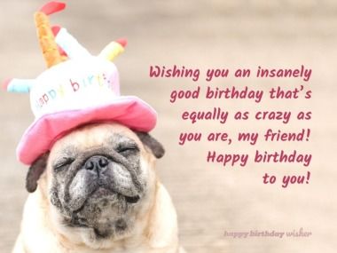 Wishing you an insanely good birthday that’s equally as crazy as you are, my friend! Happy birthday to you! (...) https://www.happybirthdaywisher.com//wishing-you-an-insanely-good-birthday/ Birthday Wishes For Crazy Best Friend, Happy Birthday Crazy Friend, Crazy Birthday Wishes, Crazy Friend Quotes, Happy Birthday Wishes For Him, Crazy Birthday, Bday Quotes, Friend Happy Birthday, Funny Birthday Wishes