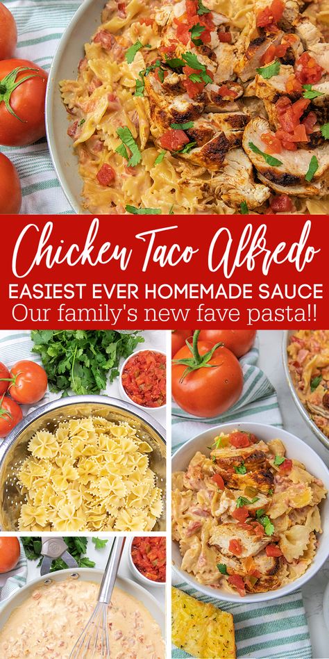 Taco Seasoned Chicken, Taco Alfredo, Easy Chicken Taco, Creamy Chicken Pasta Recipes, Mexican Pasta, Pasta With Alfredo Sauce, Chicken Taco Seasoning, Chicken Tacos Easy, Quick Pasta Recipes