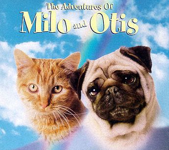 Milo and Otis <3 Milo And Otis, Dog Movies, Tom Y Jerry, Movies Worth Watching, Austin Powers, Best Love Stories, Childhood Movies, Kids' Movies, Fav Movies