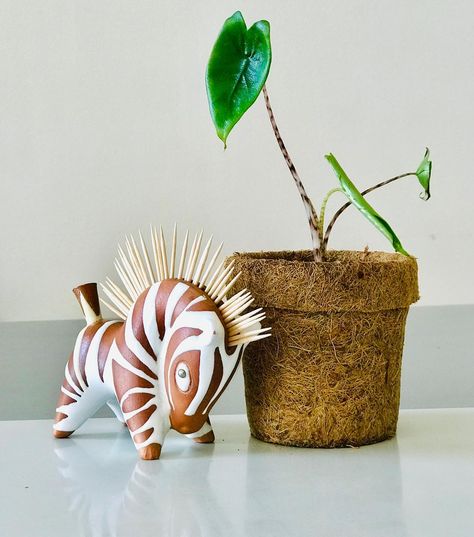 My #alocasiazebrina and my #zebra toothpick-holder. . . . . . . . . #kokodama #indoorplants #plants #urbanjungle #aglaonema #houseplants… Clay Toothpick Holder, Decor Mood Board, Easy Doodle, Wooden Items, Match Stick, Diy Ceramic, Pottery Inspo, Toothpick Holder, Easy Doodle Art