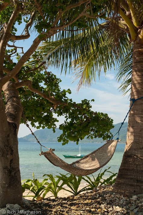 Beach With Hammock, Hammock By The Beach, Beach House Hammock, House On Beach Aesthetic, Beach Aesthetic House, Tropic Aesthetic, Beach House Hawaii, Tropical Hammock, Tropical Beach Aesthetic