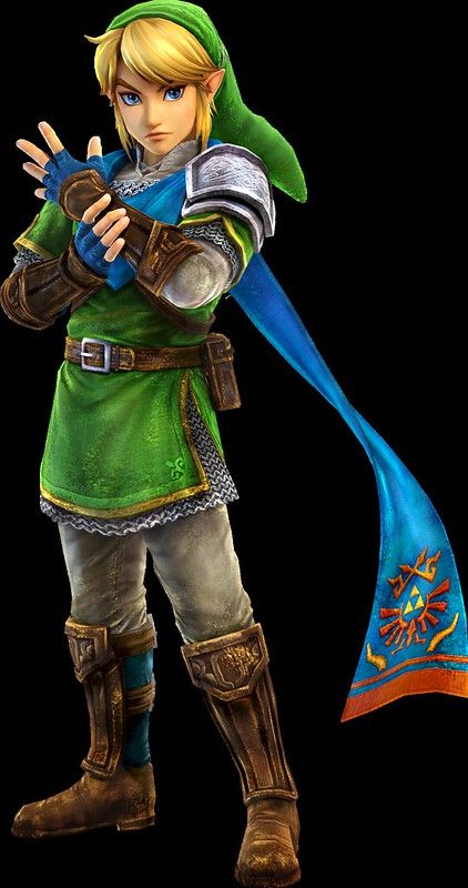 Hyrule Warriors Link, Zelda Hyrule Warriors, Link Costume, Nintendo Mario Bros, Zelda Tattoo, Fire Emblem Warriors, Link Cosplay, Legend Of Zelda Memes, Hyrule Warriors