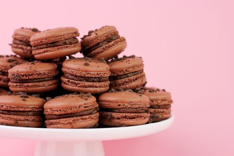 Chocolate Macaron Filling | Brownie Batter Michelle's Macarons, Chocolate Macaron Filling, Easy French Macaron Recipe, Chocolate Macaron Recipe, Macarons Easy, French Macaron Recipe, French Macarons Recipe, Lemon Blueberry Cheesecake, Macaron Filling