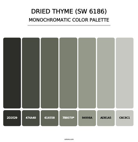 Sherwin Williams Dried Thyme Coordinating Colors, Dried Thyme Coordinating Colors, Dried Thyme Color Palette, Thyme Sherwin Williams, Rosemary Sherwin Williams, Sw Dried Thyme, Sherwin Williams Dried Thyme, Draw A Hexagon, Analogous Color Scheme