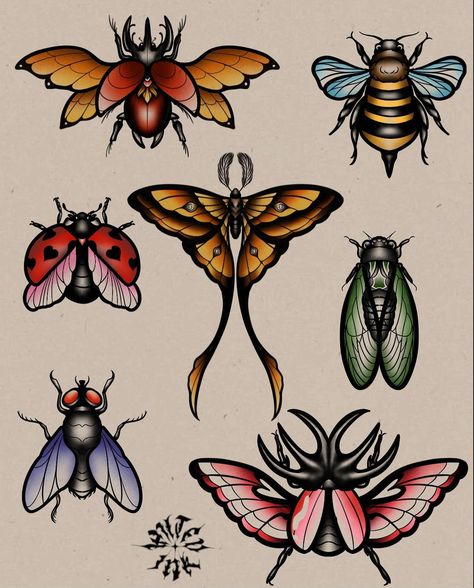 Bug flash available in colour or black and grey ! Dm to book- apprentice rates - - - - - - - - #tattoo #tattooflash #perth #perthtattoo #flashtattoo #insecttattoo #neotrad #neotraditional #colourtattoos Lima Bean Tattoo, Leaf Insect Tattoo, Old School Bug Tattoo, Flower Bug Tattoo, Tattoo Flash Neotrad, American Traditional Beetle Tattoo, Trad Bug Tattoo, Neotraditional Moth Tattoo, Neotraditional Tattoo Flash Sheet