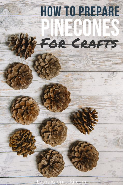 Wondering how to prepare pine cones for crafts and decor projects? This easy step by step tutorials tells you how to clean pine cones for crafts so they are clean, dry, and bug free! Ready and waiting to be turned into any of the amazing pine cone crafts you want to try! #pinecones #pineconecrafts #craftprojects #crafts #tutorial How To Clean Pinecones For Crafts, Pinecones Crafts, Pinecone Projects, Pinecone Art, Diy Paper Art, Pinecone Crafts, Painted Pinecones, Penguin Crafts, Pine Cone Art